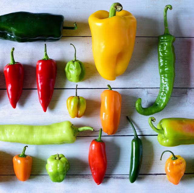 20 Must-Grow Peppers for Canadian Gardens