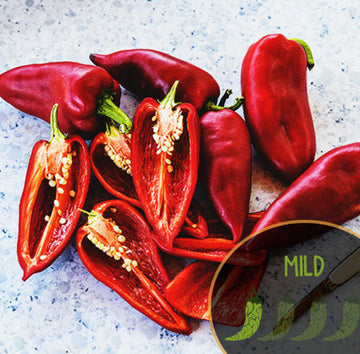 Ajvarski Pepper