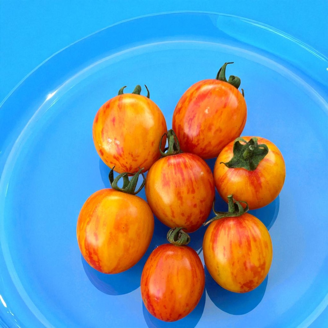 Photo inspiration: Picture Idea: Bumble Bee Sunrise Tomato Casa Verde Microgreens And Pepper Seed