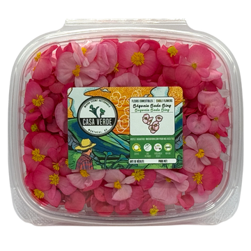 Begonia Edible Flowers