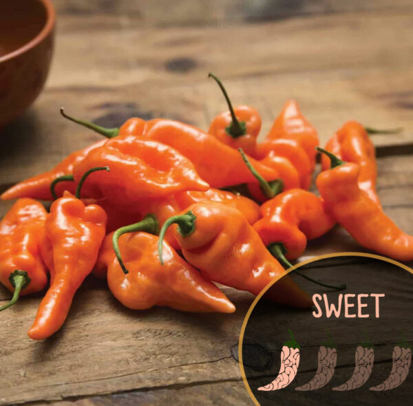 Orange Habanada peppers on a wooden surface with 'SWEET' label