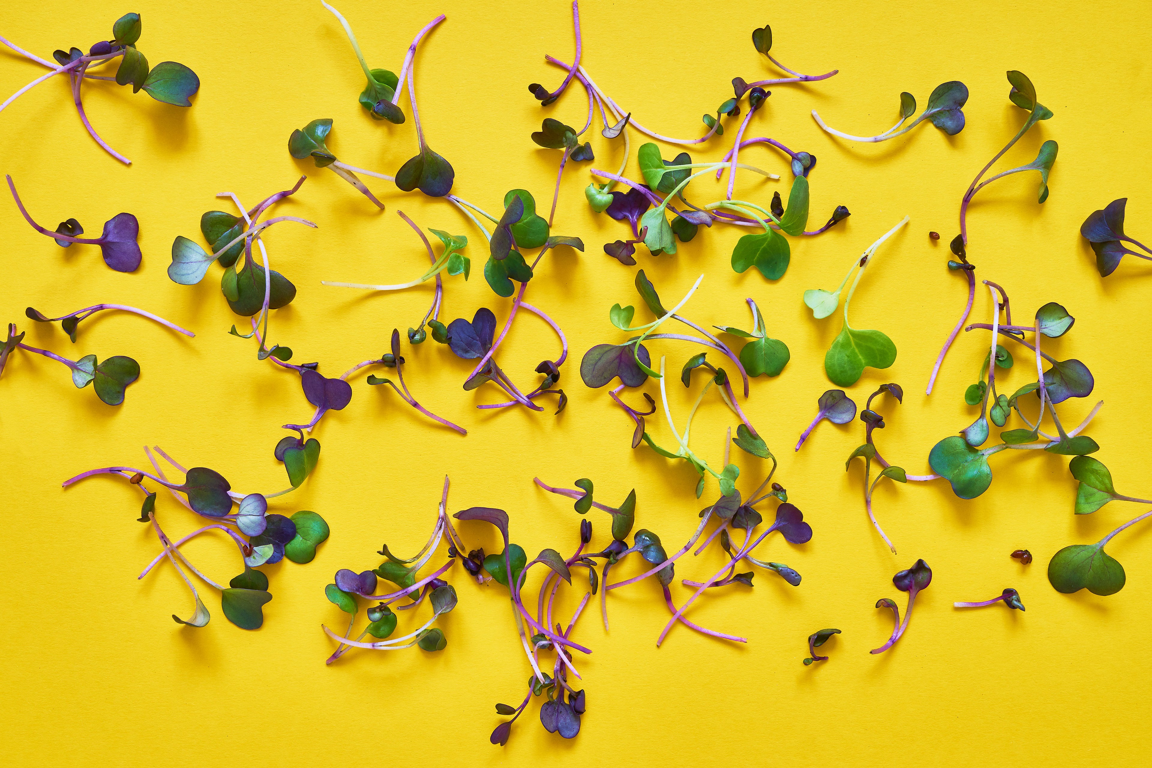 collection-banner-image