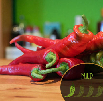 Poivre de Cayenne Wildcat (F1)