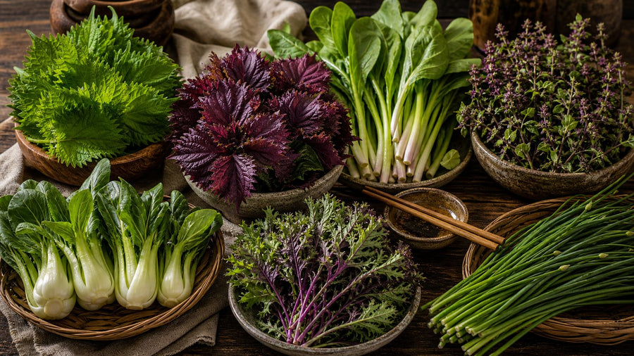 Asian Greens and Herbs That Deserve More Garden Space