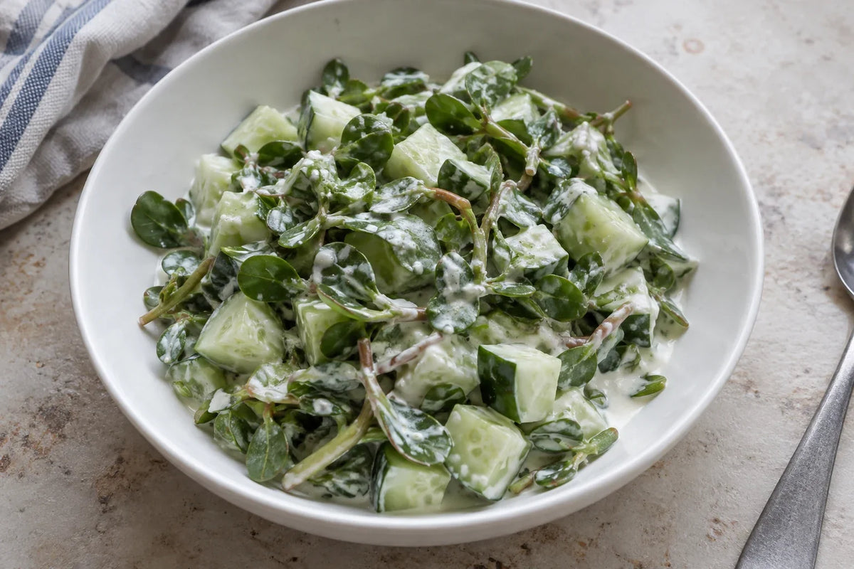 Purslane Cucumber Yogurt Bowl