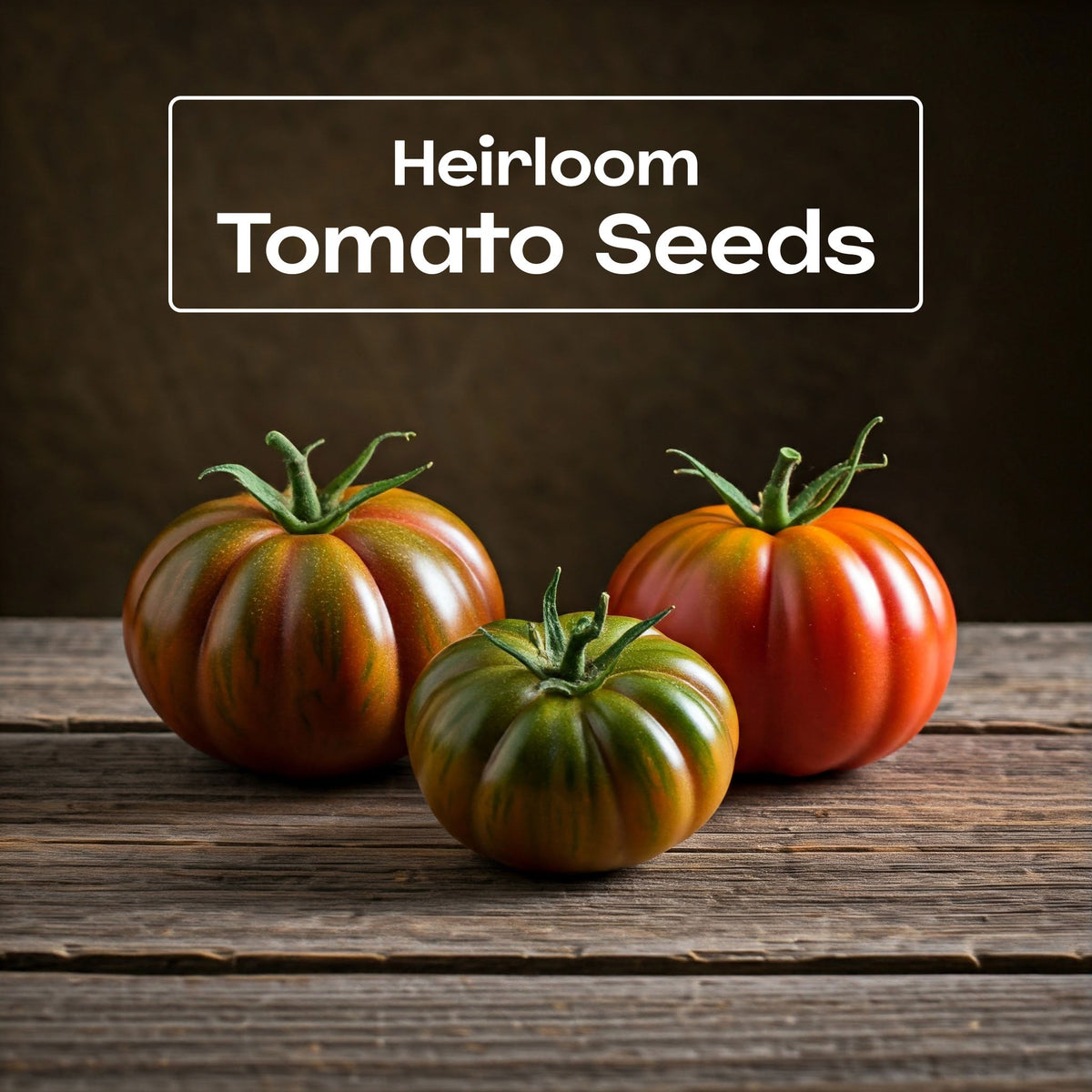 Quand semer les graines de tomate au Canada : Un calendrier pratique