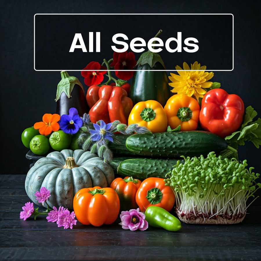 What Are Culinary Seeds? A Seed-to-Table Garden Guide