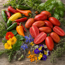 Seed Bundles