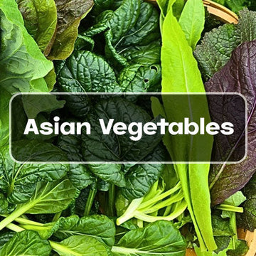 Asian Vegetable Seeds - asian vegetables category seed shop