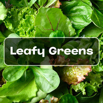 Leafy Greens Seeds - leafy greens category banner seeds shop