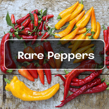 Rare Pepper Seeds Canada banner image