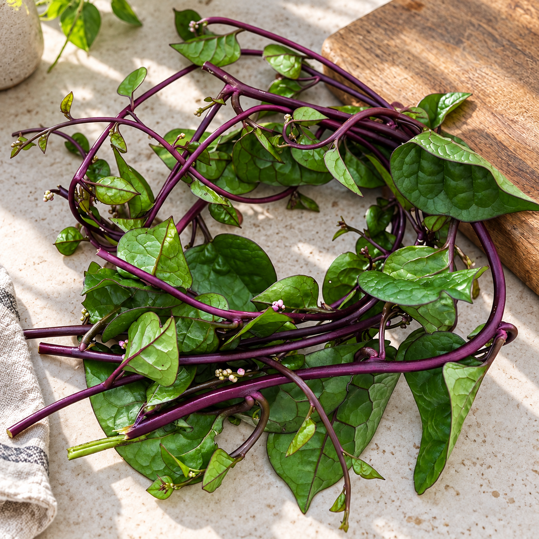 Red Malabar spinach vines with purple stems and glossy leaves