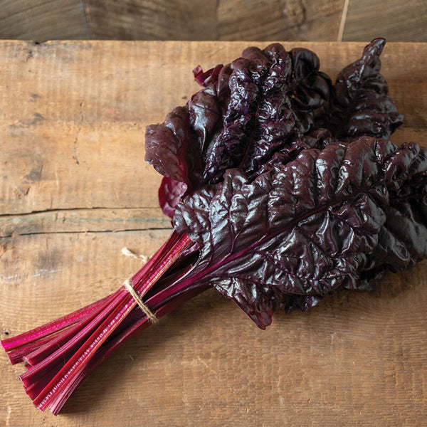 Firebird (F1) Swiss Chard Seed - firebird swisschard
