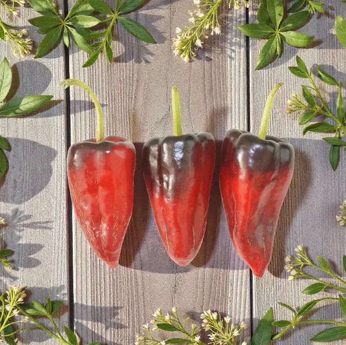 Aces & 8's Poblano Cross