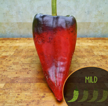 Aces & 8's Poblano Cross