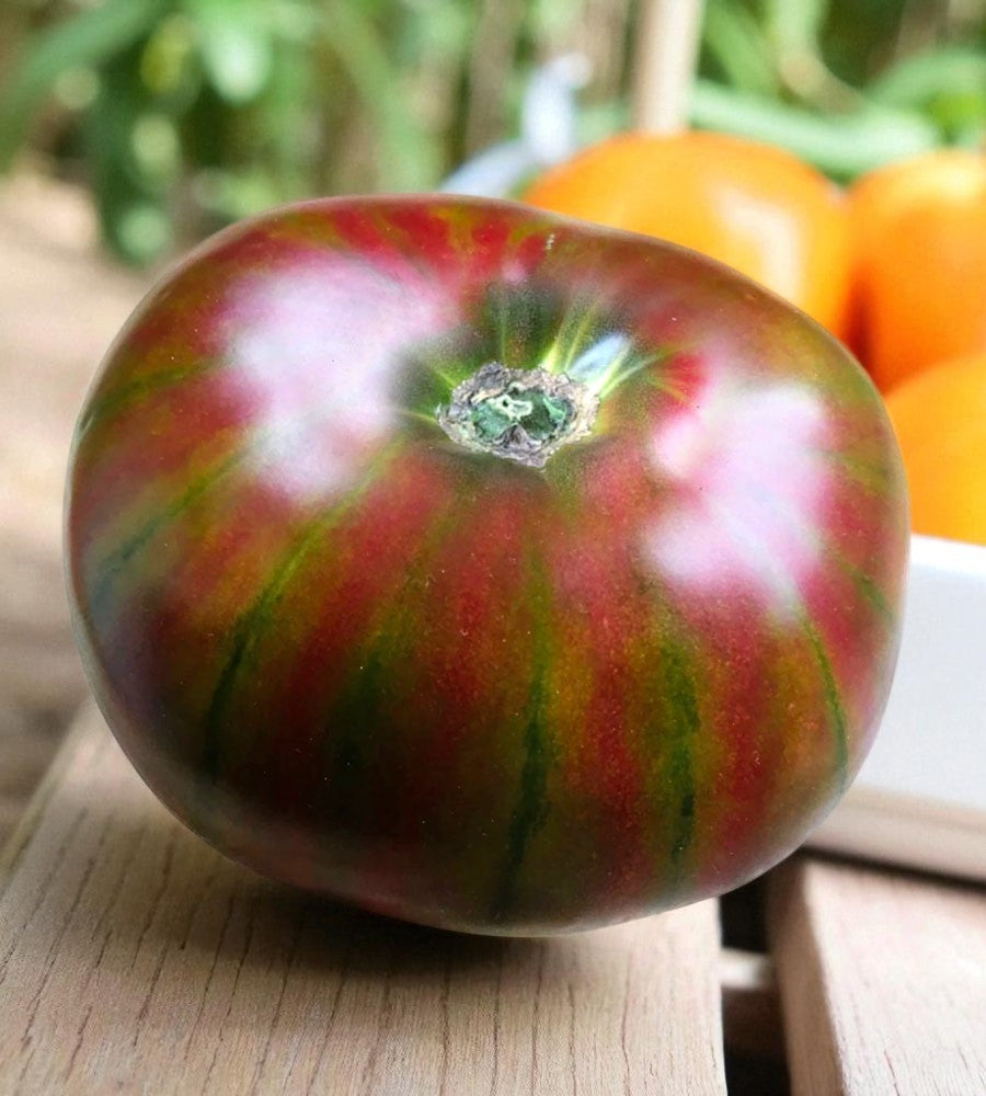 Tomate Ananas Noir