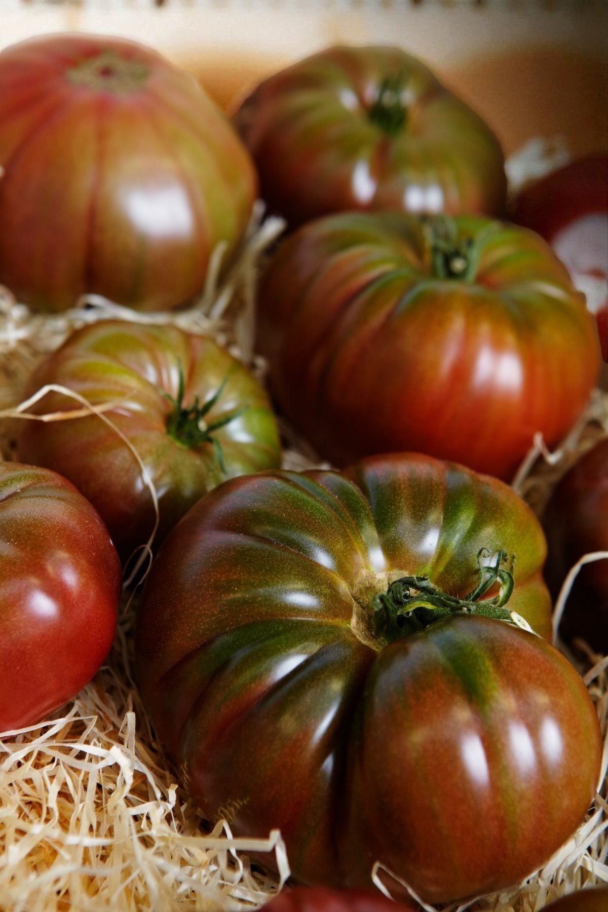 Tomate Ananas Noir