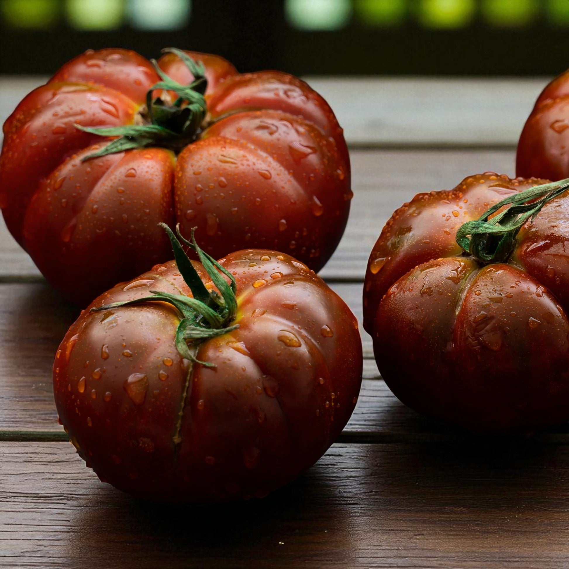 Tomate noire de Crimée