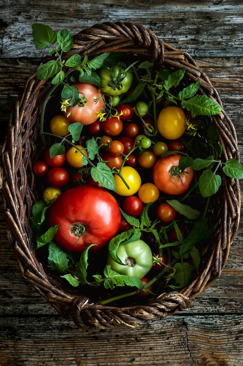 Tomates