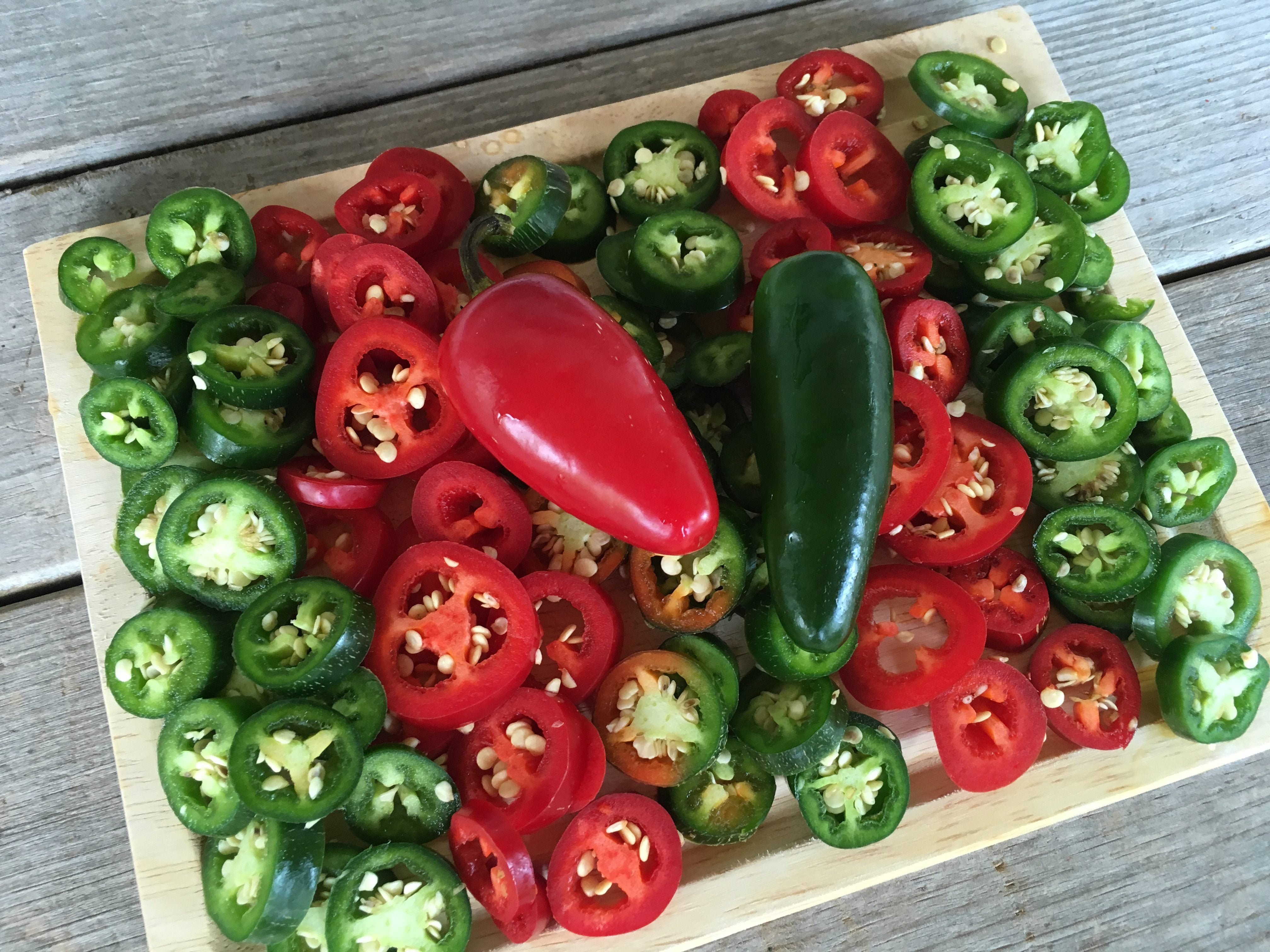 Piment jalapeño précoce