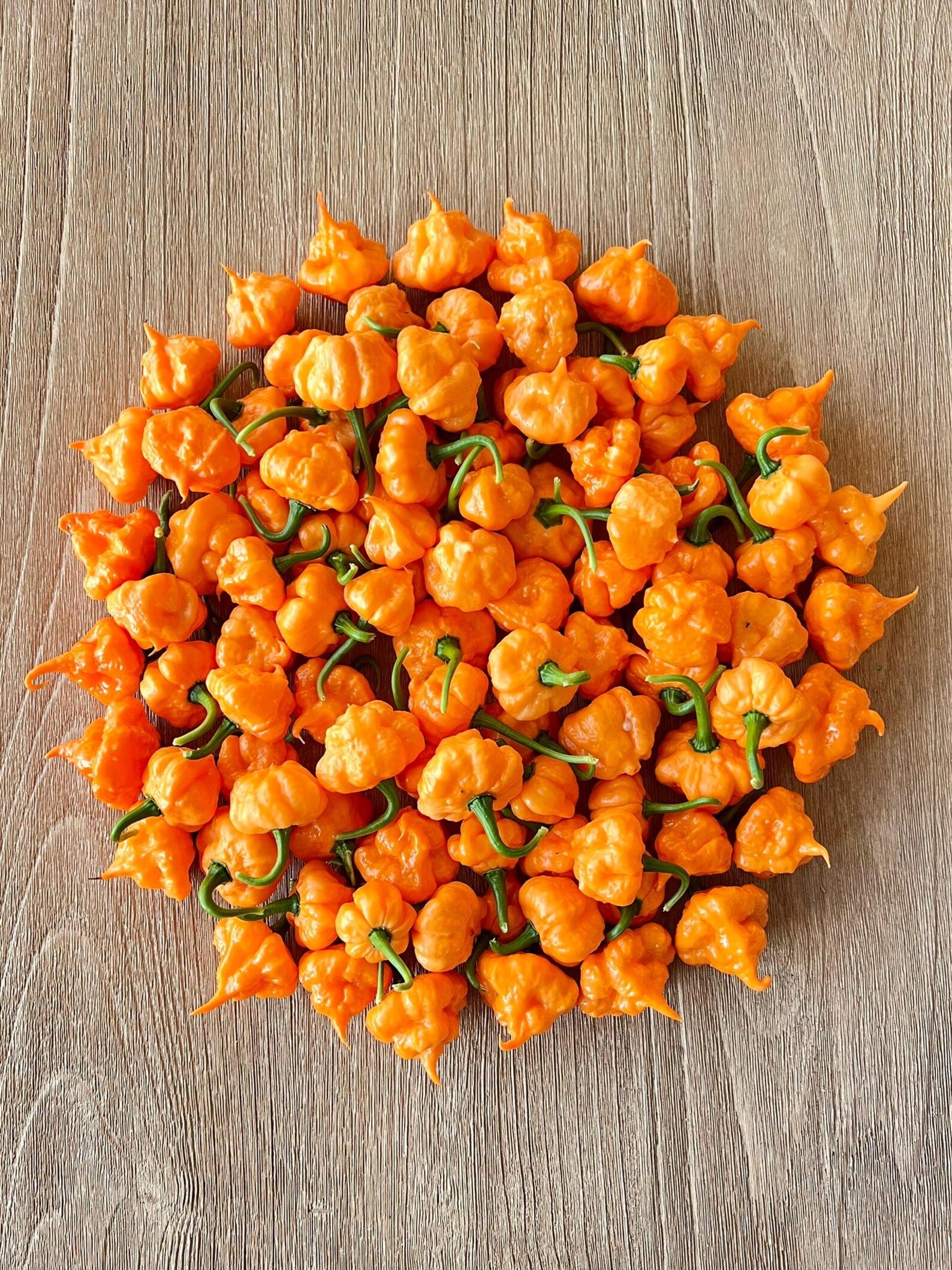 Cluster of small orange KSPS Khang Starr Peach Starburst Peppers on a wooden surface