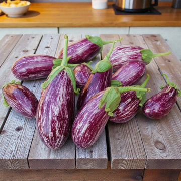 Listada de Gandia Eggplant Seeds