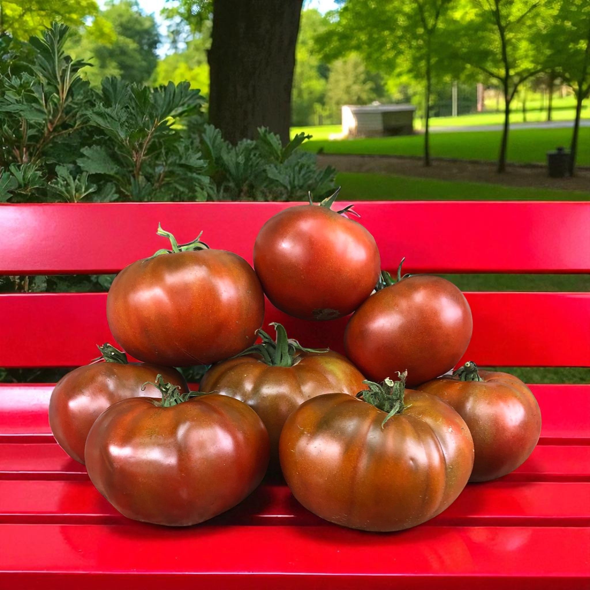 Paul Robeson Tomate