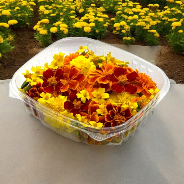 Marigold Mixed Edible Flowers