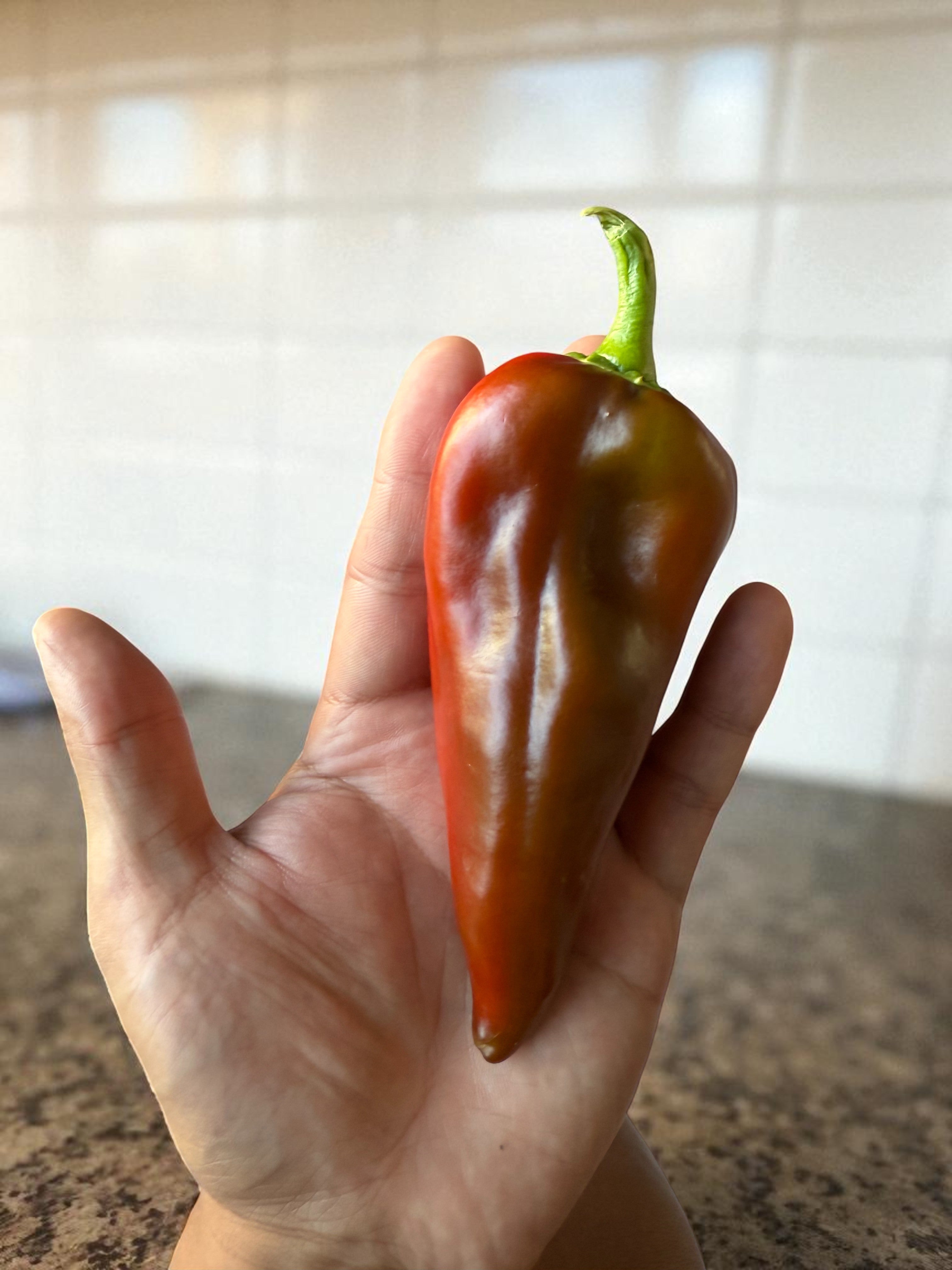 Grueso de Plaza Pepper