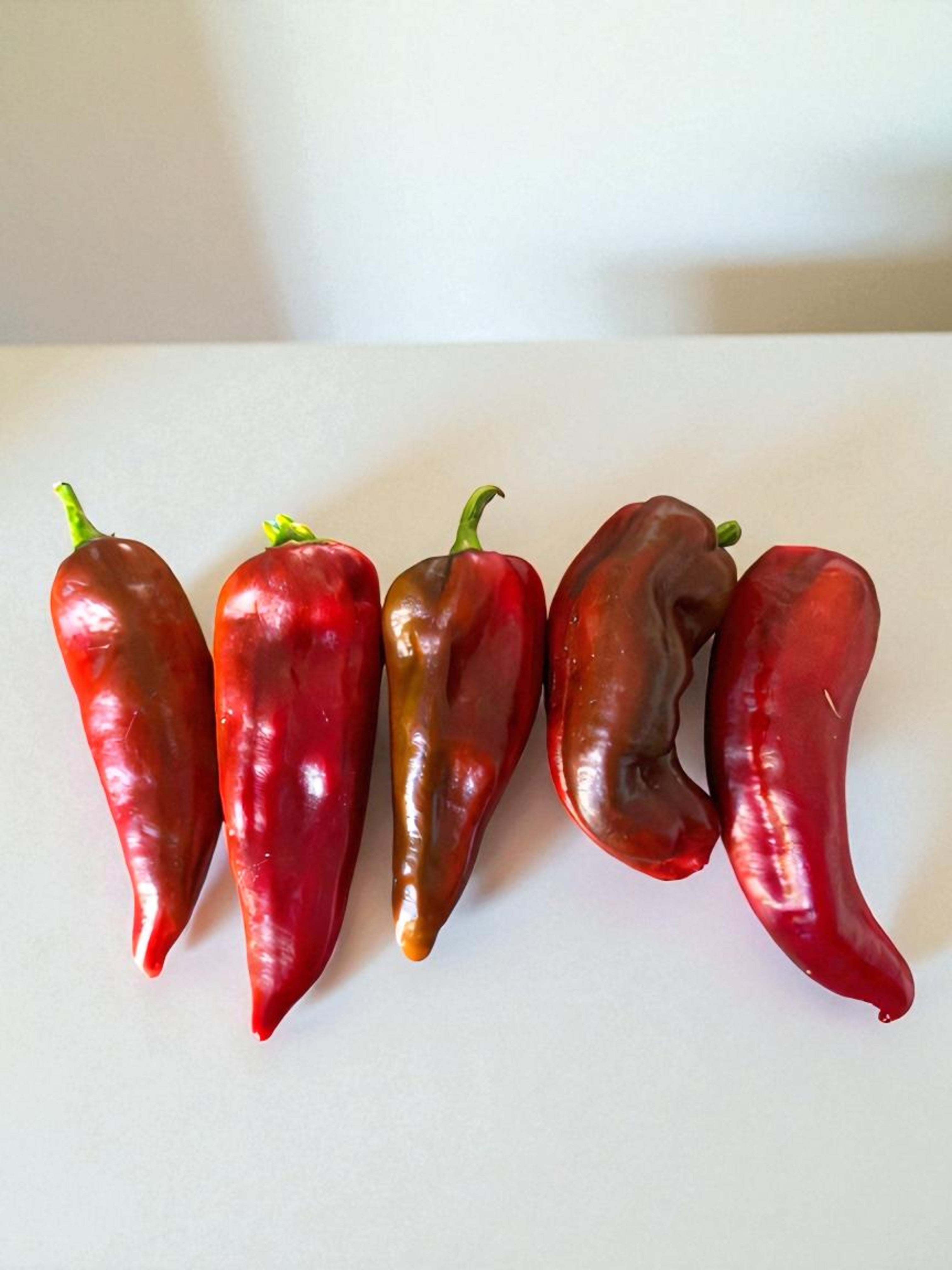 Grueso de Plaza Pepper