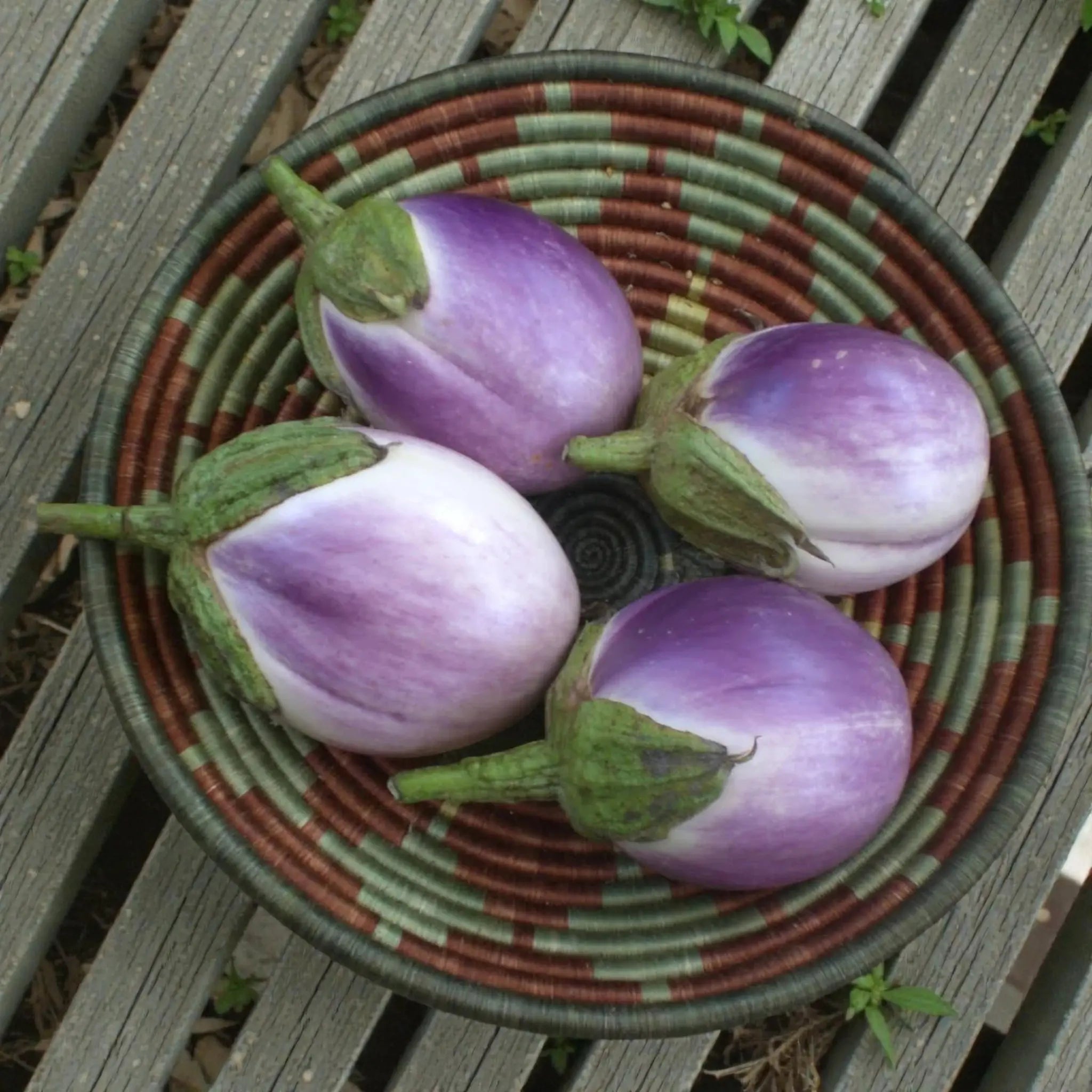 Rosa Bianca Eggplant Seeds