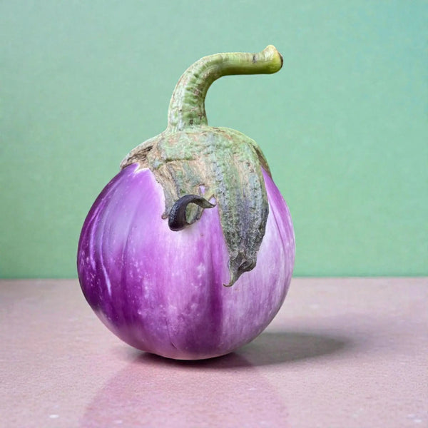 Rosa Bianca Eggplant Seeds - Casa Verde Seeds