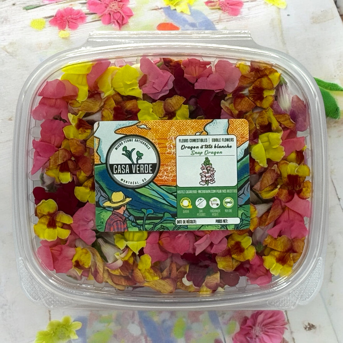 Edible Snapdragon Flowers