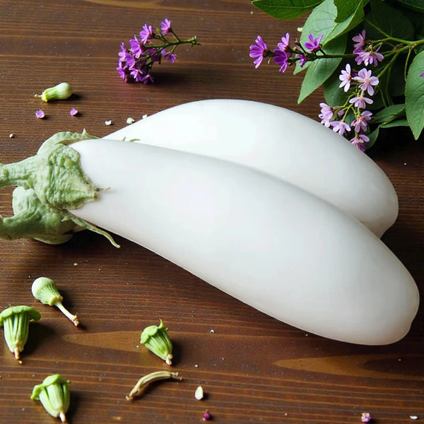 Snowy White Eggplant Seeds - Snowy White Eggplant F1 seeds 2