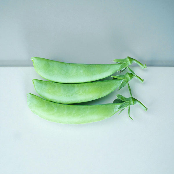 Sugar Ann Peas Seeds - Sugar Ann Pea Seeds