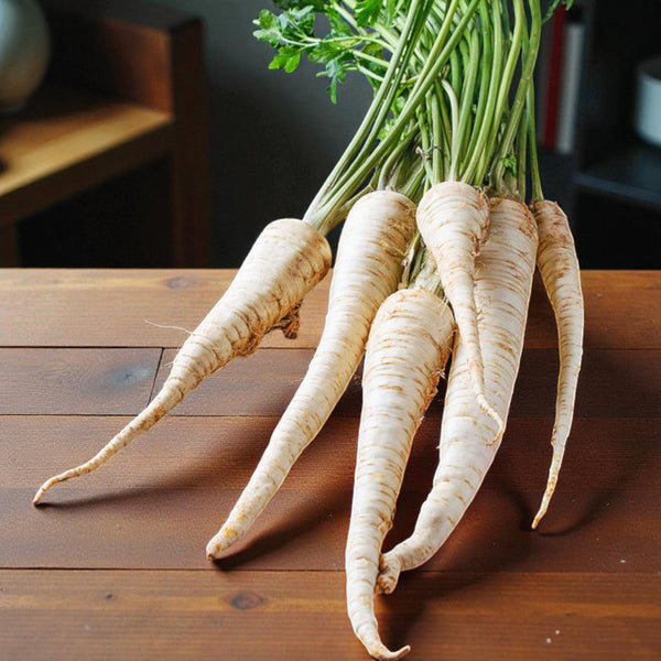 Tender & True Parsnip Seeds - Tender and True Parsnip Seeds