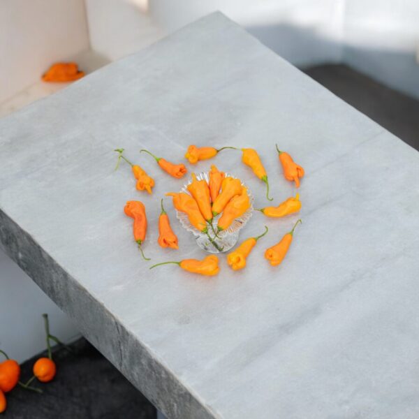 Aji Erotic peppers arranged on a gray surface with a blurred background