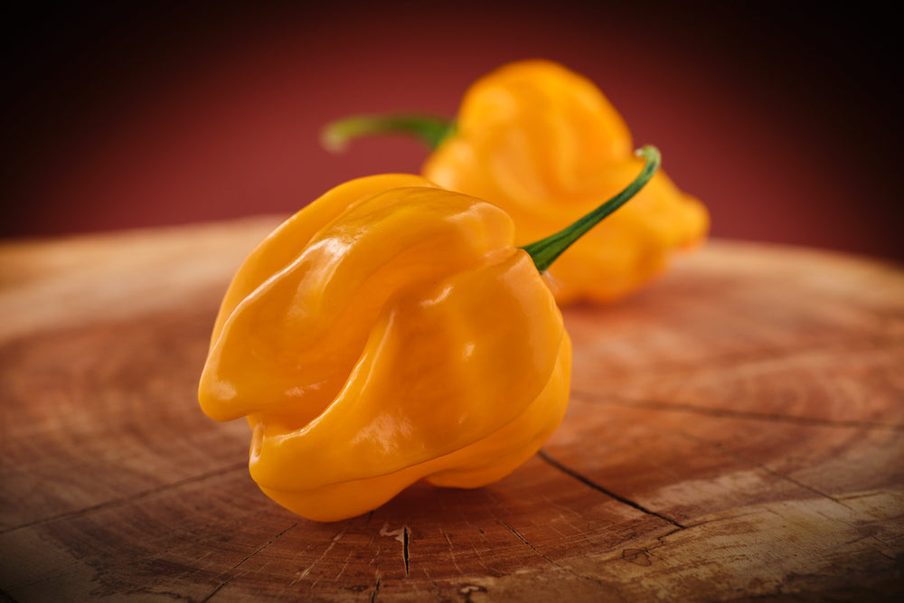Two yellow Aji Margarantino peppers on a wooden surface with a dark background
