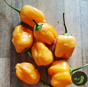 Orange Aji Mango peppers on a wooden surface with a 'MILD' label.