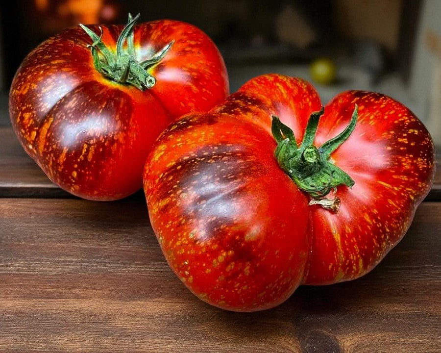 Tomate feu bleu