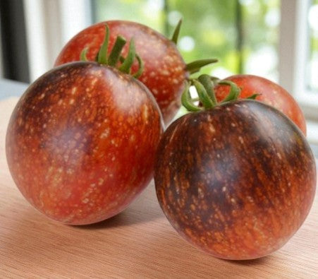 Tomate feu bleu