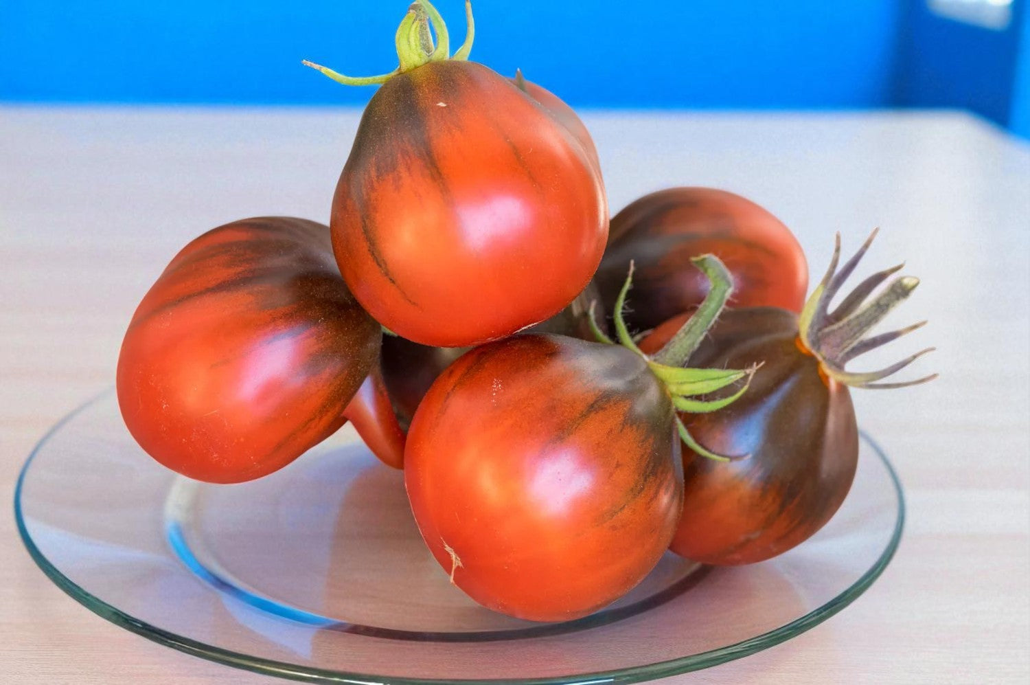 Tomate poire bleue