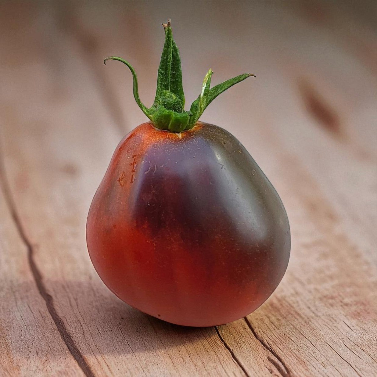 Tomate poire bleue