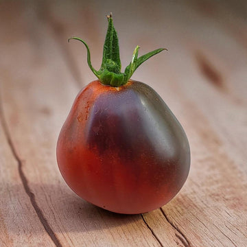 Tomate poire bleue
