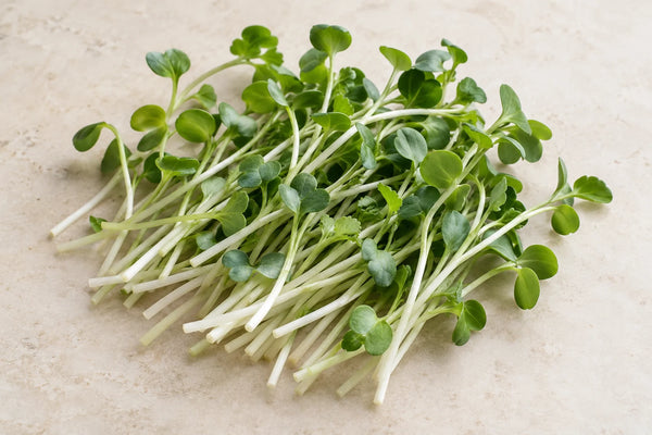 AI-created illustration of cut broccoli microgreens on a cream surface
