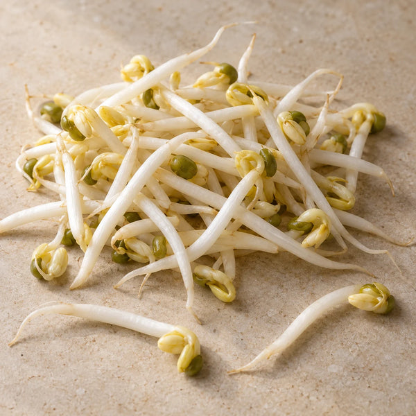 AI-created illustration of mung bean sprouts on a cream surface