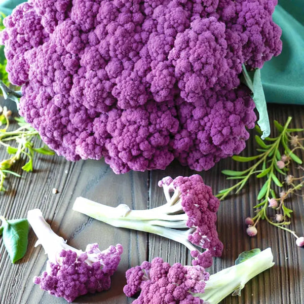 Murasaki Fioretto 70 Sprouting Cauliflower (F1) Seeds - cauliflower murasaki fioretto sprouting culinary seeds 1