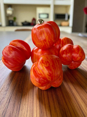 Charlie Chaplin Tomate
