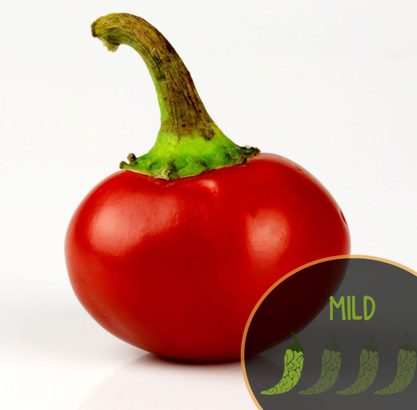 Cherry Bomb Pepper