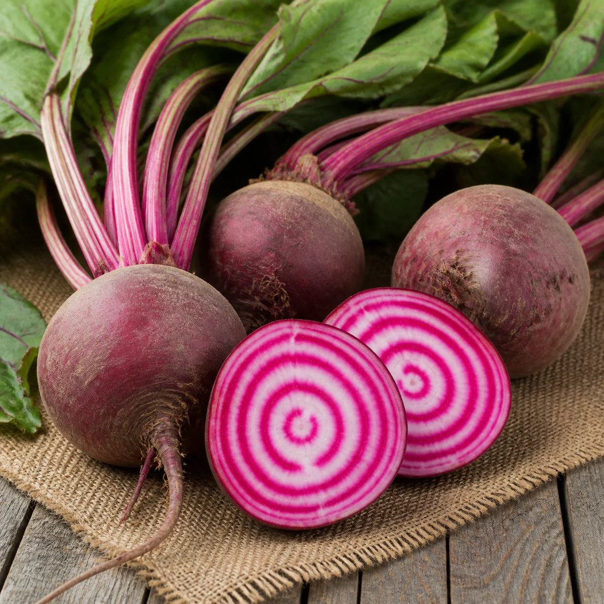 Chioggia Guardsmark Organic beet seeds with pink and white candy stripe beet slices
